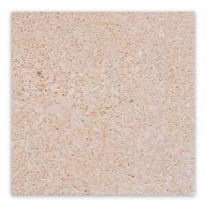 AMARILLO-fosil-corte