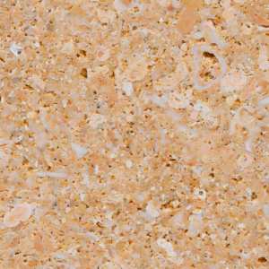 AMARILLO-fosil-detalle