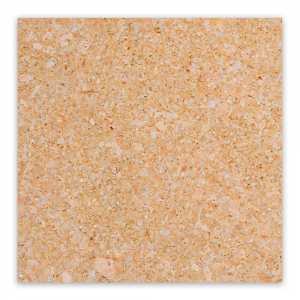 AMARILLO-fosil-pulido